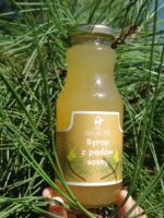 Naturalny syrop z pędów sosny w igłach sosny | Lubelski Stół